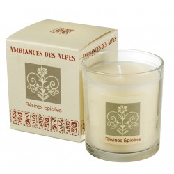Scented Candle Spicy Resins
